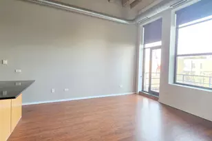 1645 W Ogden Ave, Chicago, IL 60612 - Photo 5