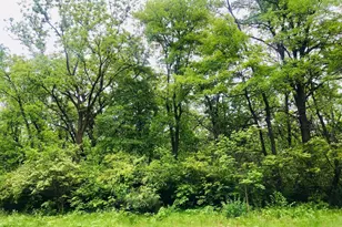 704 Echo Trail Lot 21, Marengo, IL 60152 - Photo 1