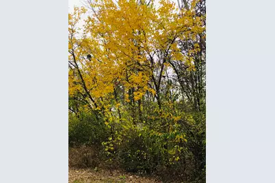 911 Echo (Lot 5) Trail, Marengo, IL 60152 - Photo 5