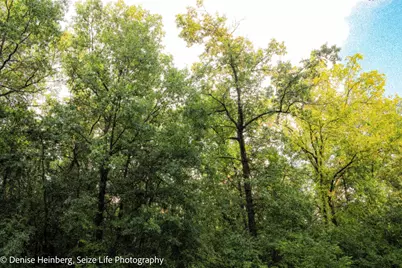 806 Echo (Lot 22) Trail, Marengo, IL 60152 - Photo 7