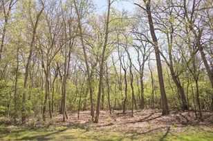 910 Echo Trail Lot 6, Marengo, IL 60152 - Photo 1