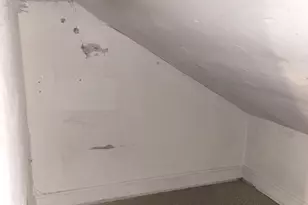 [Address not provided], Chicago, IL 60649 - Photo 5