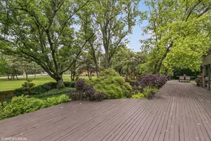 1707 Lynwood Ct, Flossmoor, IL 60422 - Photo 39