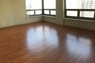 440 N Wabash Ave, Chicago, IL 60611 - Photo 9