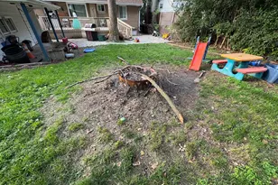 2619 Alexander St, Homewood, IL 60430 - Photo 13