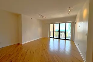 41 E 8th St, Chicago, IL 60605 - Photo 3