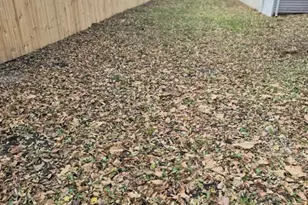 7017 S Hermitage Ave, Chicago, IL 60636 - Photo 5