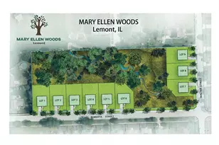 1104 Walter St, Lemont, IL 60439 - Photo 3