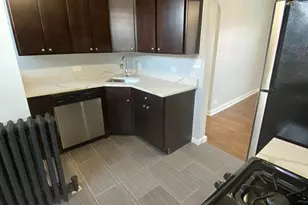 1722 W Juneway Terrace, Chicago, IL 60626 - Photo 3