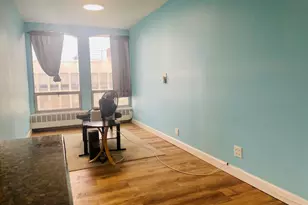 1451 E 55th St, Chicago, IL 60615 - Photo 5