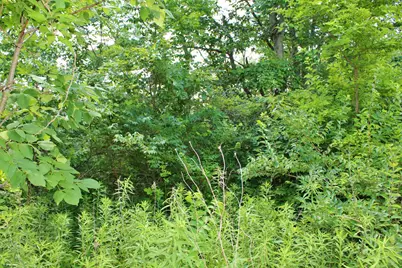 2304 Oakwood Lane, Marseilles, IL 61341 - Photo 11