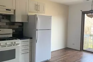 350 Woodridge Cir, South Elgin, IL 60177 - Photo 11