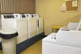 1117 Leavitt Ave, Flossmoor, IL 60422 - Photo 7