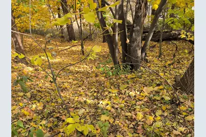 1213 W Park Front Street, Joliet, IL 60436 - Photo 1