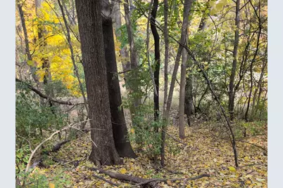 1213 W Park Front Street, Joliet, IL 60436 - Photo 3