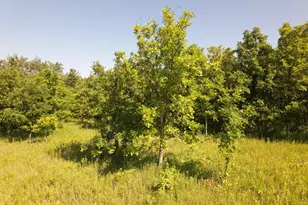 1607 Wheeler Rd, Kirkland, IL 60146 - Photo 53