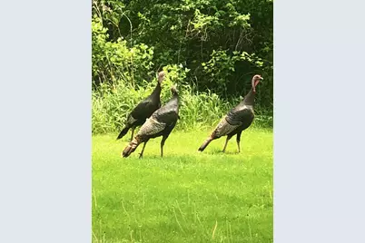 1607 Wheeler Road, Kirkland, IL 60146 - Photo 59