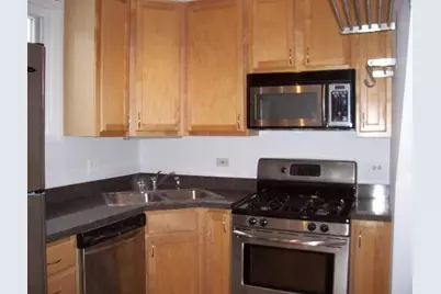 431 S Harvey Street #E, Oak Park, IL 60302 - Photo 3