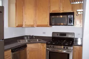 431 S Harvey St, Oak Park, IL 60302 - Photo 3