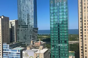 1101 S State St, Chicago, IL 60605 - Photo 29