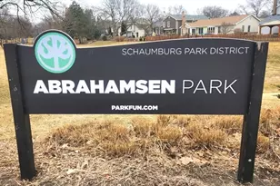 321 Carmelhead Ln, Schaumburg, IL 60193 - Photo 25