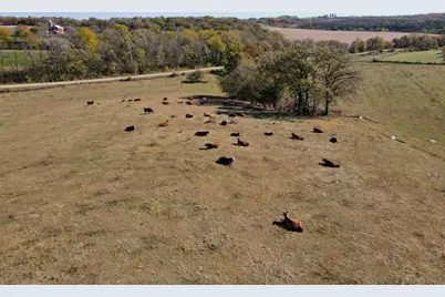 000 Holstein Prairie Road, Montello, WI 53570 - Photo 15