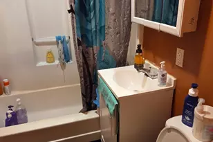 1208 W 51st St, Chicago, IL 60609 - Photo 7