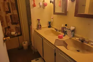 10 Meadowlark Ln, Beecher, IL 60401 - Photo 13