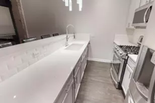 1069 W 14th Pl, Chicago, IL 60608 - Photo 3