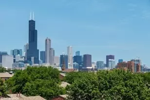 1069 W 14th Pl, Chicago, IL 60608 - Photo 19