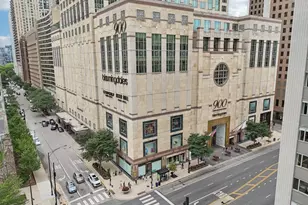 132 E Delaware Pl, Chicago, IL 60611 - Photo 51