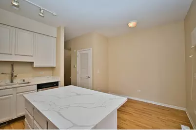 353 E Eastgate Place, Chicago, IL 60616 - Photo 21