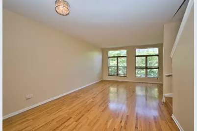 353 E Eastgate Place, Chicago, IL 60616 - Photo 11