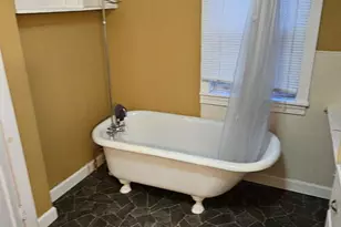 24 Mulberry St, Savanna, IL 61074 - Photo 5