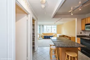 211 E Ohio St, Chicago, IL 60611 - Photo 7