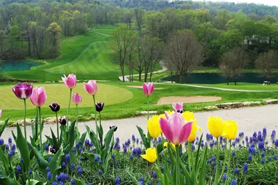 16 Wagoner Lane, Galena, IL 61036 - Photo 15