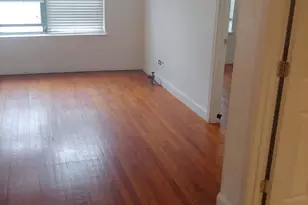 307 E 50th St, Chicago, IL 60615 - Photo 3