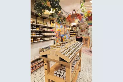 2564 N Clark Street, Chicago, IL 60614 - Photo 5