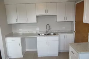 2012 W 111th St, Chicago, IL 60643 - Photo 29