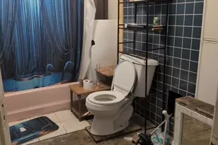 111 W Waupansie St, Dwight, IL 60420 - Photo 5