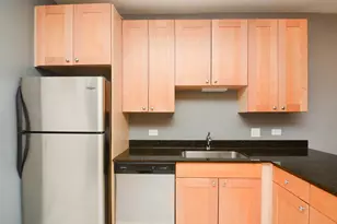 1421 W Jonquil Terrace, Chicago, IL 60626 - Photo 5