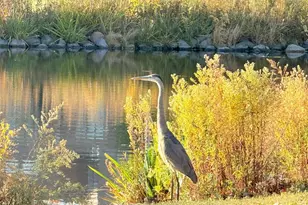 580 Oak St, Glen Ellyn, IL 60137 - Photo 87