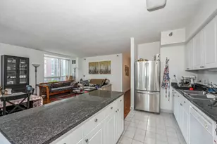 512 N McClurg Ct, Chicago, IL 60611 - Photo 3