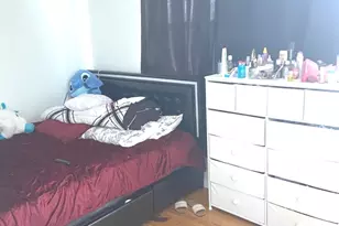 459 W 26th St, Chicago, IL 60616 - Photo 11