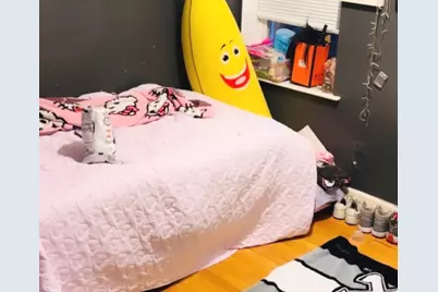 459 W 26th Street, Chicago, IL 60616 - Photo 5