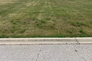 485 Rock Creek Dr, Manteno, IL 60950 - Photo 1