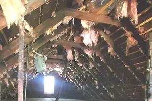 4534 S Honore St, Chicago, IL 60609 - Photo 25