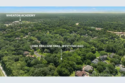 1066 Trillium Trail, West Chicago, IL 60185 - Photo 3