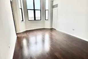 1464 S Michigan Ave, Chicago, IL 60605 - Photo 5