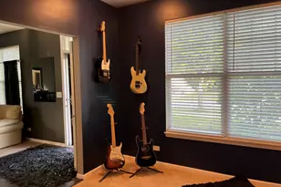 12922 Grande Poplar Cir, Plainfield, IL 60585 - Photo 41